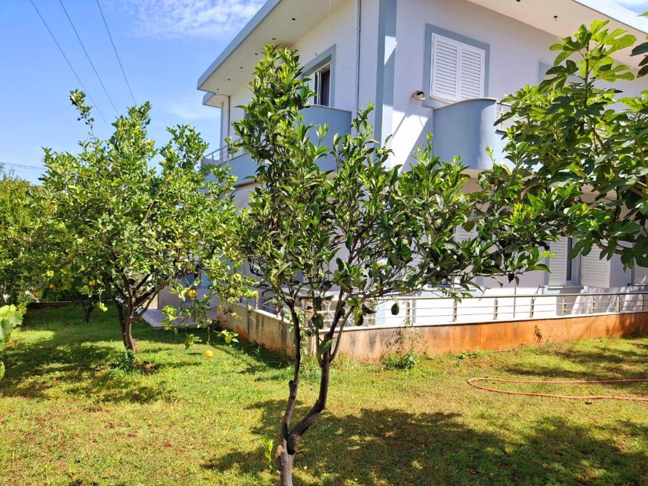 Myksamil Apartments Номер фото