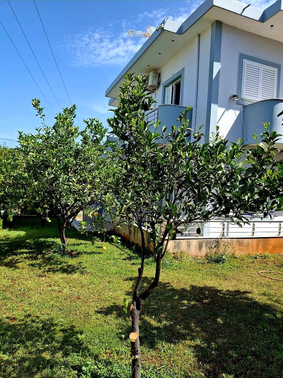 Myksamil Apartments Экстерьер фото