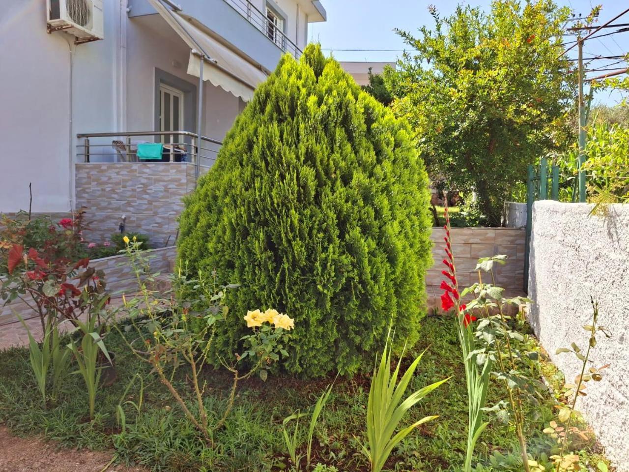 Myksamil Apartments Экстерьер фото